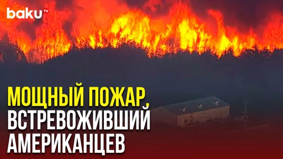 В США бушуют лесные пожары