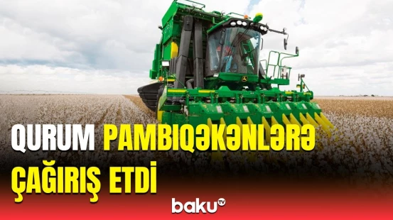 Sığortası olmayanlar təzminat ala bilməyəcək? | Qurum detalları açıqladı