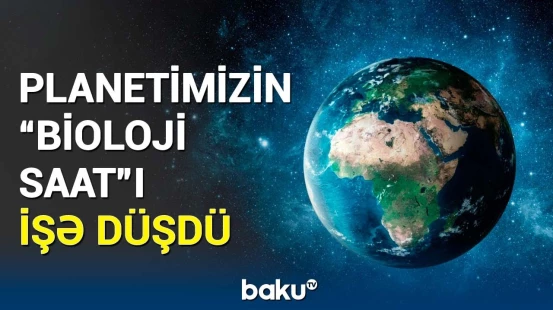 Yer kürəsi yararsız vəziyyətə düşəcək? | Alimlər həyəcan təbili çaldı