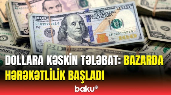 Dollara marağın artma səbəbi nələrdir? | İqtisadçı məsələyə aydınlıq gətirdi