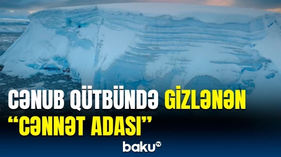 Alimlər bu suala düz 70 ildən sonra cavab tapdı