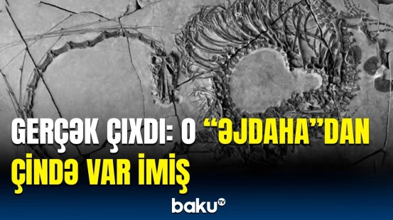 Əsl “Çin əjdahası” tapıldı | Əfsanə reallığa çevrildi