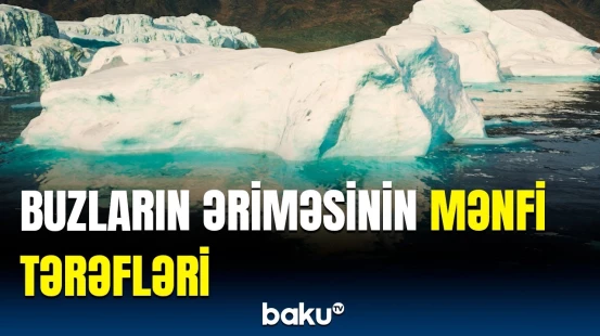 İqlim tənzimləyicilərindən biri sıradan çıxır? | Bəşəriyyət üçün həyəcan təbili çalındı