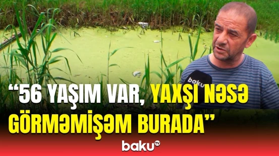 “Yaşamaq mümkün deyil!” - Üfunət içində qalan sakinlərin bitməyən problemləri