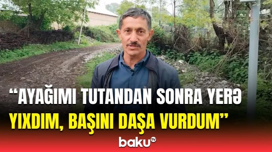 Oğuzda çaqqal kişiyə hücum etdi | Zərərçəkən hadisə anını danışdı