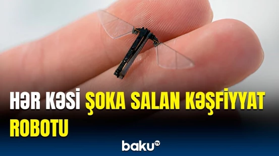 "Miniatür casus" elə formada hazırlandı ki… | İxtira edilmiş robotun özəllikləri