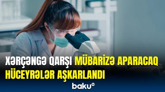 Qocalmış toxumalara qarşı yeni ümid | İnsan bədənində elə şey tapıldı ki…
