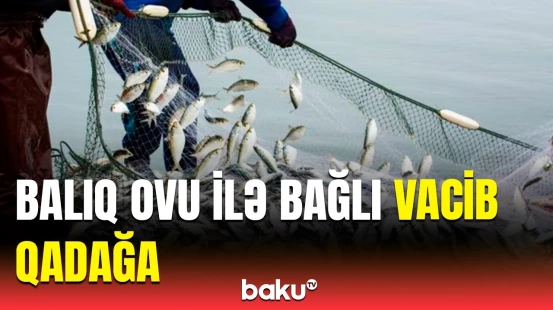 Balıqçılara bu tarixə qədər vaxt verildi | Bütün ölkə ərazisində...