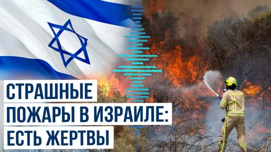 Израиль запросил помощь на борьбу с лесными пожарами