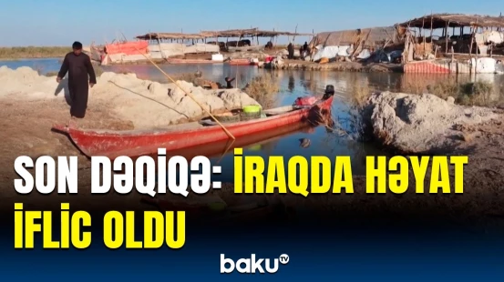 İraqda nə üçün insanlar evlərindən qaçır? | Sakinlər ölümlə üz-üzə