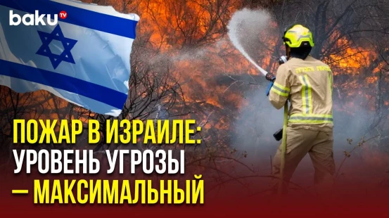 Сильный пожар вспыхнул в лесу Эштаоль возле поселения Месилат-Цион в Иерусалимских горах