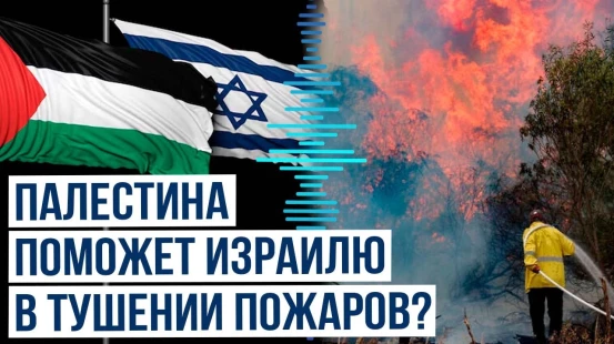 Израильские СМИ о помощи Палестины в тушении лесных пожаров в Израиле