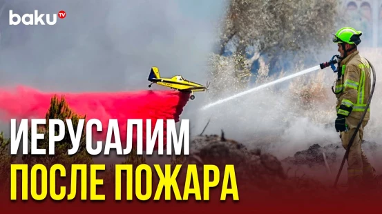 Пожар в Израиле: Сожжённые леса Иерусалима с высоты птичьего полёта