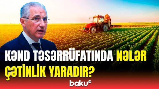 Məhsuldarlığı artırmaq üçün hansı addımlar atılmalıdır? - Muxtar Babayevdən açıqlama