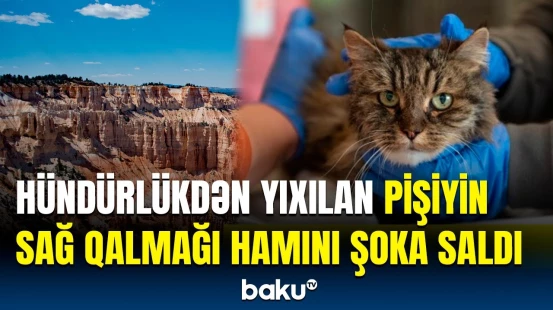 Brays Kanyonunda faciəvi ölüm | Dəhşətli hadisənin təfərrüatı