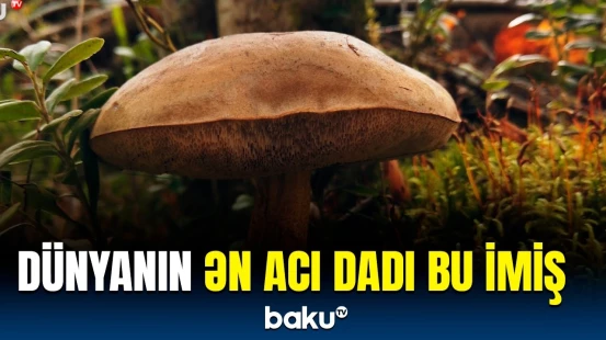 1 qramı tonlarla suyu acılaşdıra bilir | Alimlərdən maraqlı araşdırma