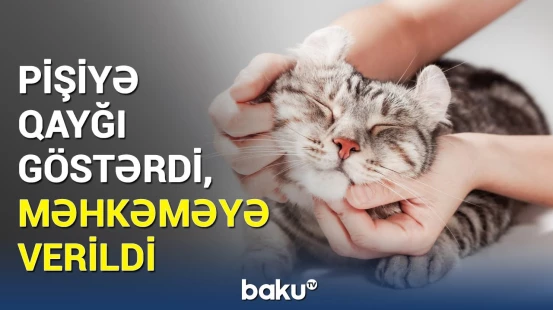 Pişik sevgisi bu qadının başına oyun açdı