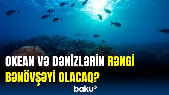 “Mavi planet”lə sağollaşmağın vaxtıdır, yoxsa...? | Tədqiqatçılardan gözlənilməz açıqlama