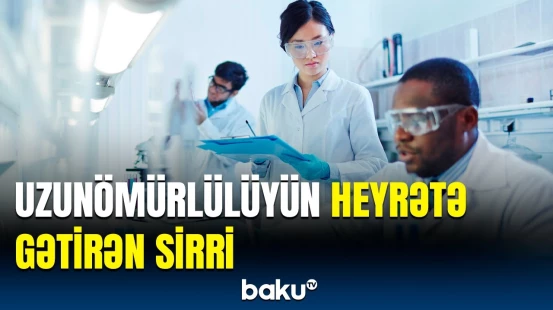 Hansı məməlilər daha çox yaşayır? | Beyinləri kiçik olsa da...