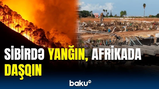 Qlobal istiləşmə gələcəyimizi riskə atır