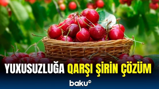 Albalı və gilasın tərkibində hansı hormon var imiş? | Diyetoloqdan açıqlama