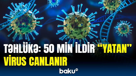 Dünyada ən böyük viruslardan biri | Bunlar sürətlə yayılır, çünki...