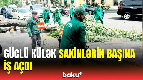 Bakıda təhlükəli anlar | Küləyin fəsadları aradan qaldırılır