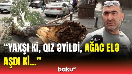 Maşınlara ziyan dəydi, sıxlıq yarandı | Güclü külək Bakıda təhlükə yaratdı