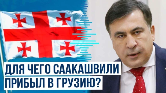 Шалва Папуашвили о роли спецслужб Украины и цели тайного приезда Михаила Саакашвили в Грузию