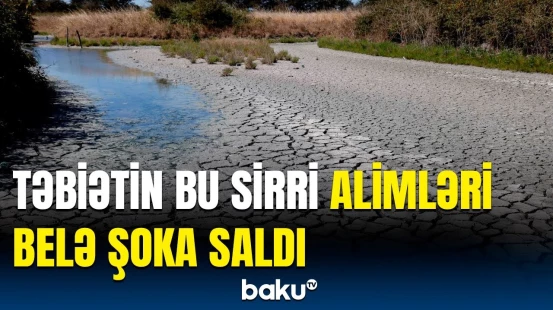 Yerdə gözlənilməz hadisə | Quraqlığın bilinməyən təsirləri üzə çıxdı
