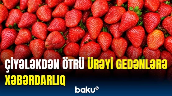 Çiyələk kimlər üçün zərərlidir? - Bu insanlar həddən artıq yesə...