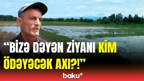 25 min manatlıq ziyan dəyib... | Zaqatalada əkin sahələri sel suları altında qaldı
