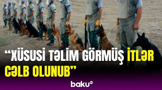 Qarabağda minatəmizləmə əməliyyatı | ANAMA əməkdaşı görülən işləri açıqladı