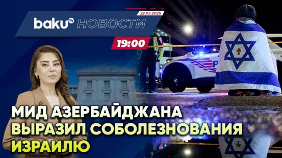 МИД АР выразил соболезнования Израилю в связи с гибелью дипломатов в США