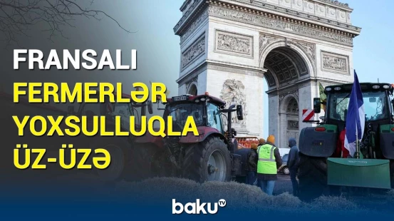 Təsərrüfatçıların acı taleyi | Fermerlərin aylıq gəliri nə qədərdir?