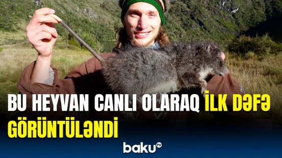 35 illik sirrə son | Bu nadir canlı alimləri necə mat qoydu?