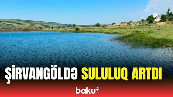 Yağışların ardından Şirvangöldə sululuğun səviyyəsi yüksəldi