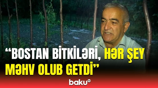 Zaqatala və Qax rayonlarında dolu yağışı təsərrüfata zərər vurdu