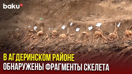 Прокуратура начала расследование по факту