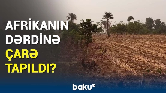 Qıtlığın qarşısı bu yollarla alınacaq | BMT vəziyyətlə bağlı hərəkətə keçdi