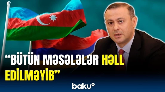 Qriqoryan delimitasiya prosesindən danışdı | Növbəti işlər harada aparılacaq?