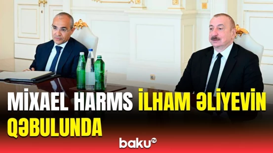 Prezident Alman İqtisadiyyatının Şərq Komitəsinin sədrini qəbul edib