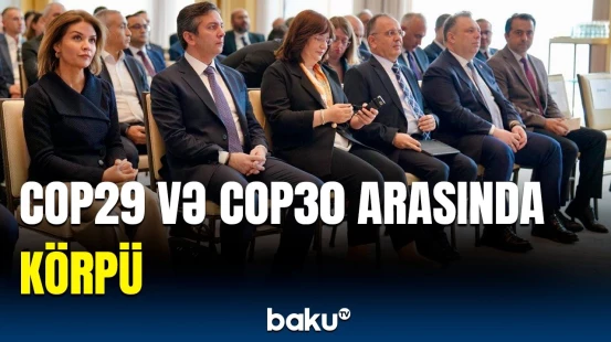 Azərbaycanın iqlim sahəsində əldə etdiyi uğurlar İstanbulda müzakirə edildi