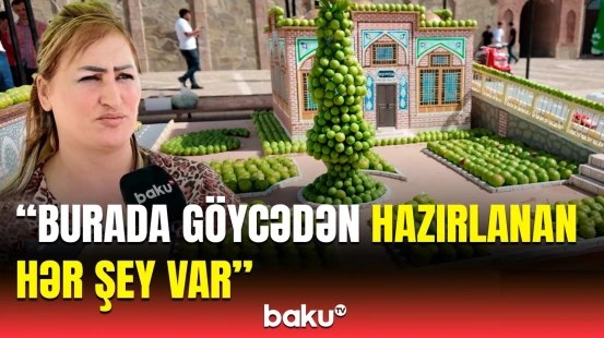 “Ən yaxşı göycə...” | Təsərrüfatçılar “Göycə festivalı”nda işin sirlərindən danışdı