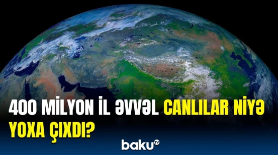 Alimlərdən kütləvi məhv hadisəsi ilə bağlı araşdırma