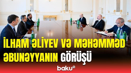 Prezident “ACWA Power” şirkətinin təsisçisi və direktorlar şurasının sədrini qəbul edib