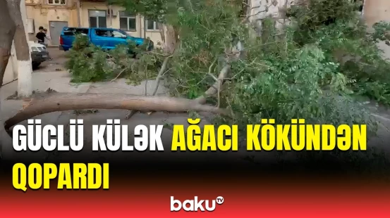 Paytaxtdakı güclü küləyin dəhşətli fəsadları | Hadisə yerindən görüntülər