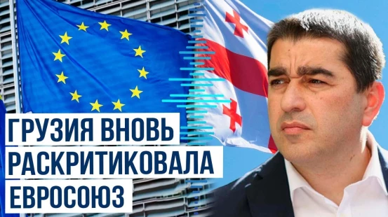 Спикер парламента Грузии Папуашвили прокомментировал действия ЕС и поддержал решение Трампа