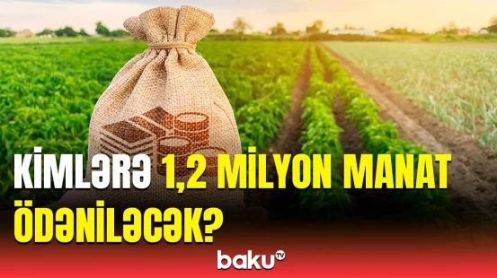 Fermerləri maraqlandıran xəbər | Aqrar Sığorta Fondundan vacib açıqlama