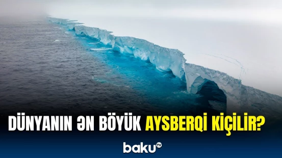 Moskva boyda olan buz parçası | Aysberqin sahəsi nə qədər kiçildi?